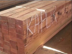 Sal & Kapoor Structural Timber